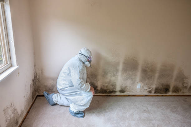Best Crawl Space Mold Removal  in Parks, AZ